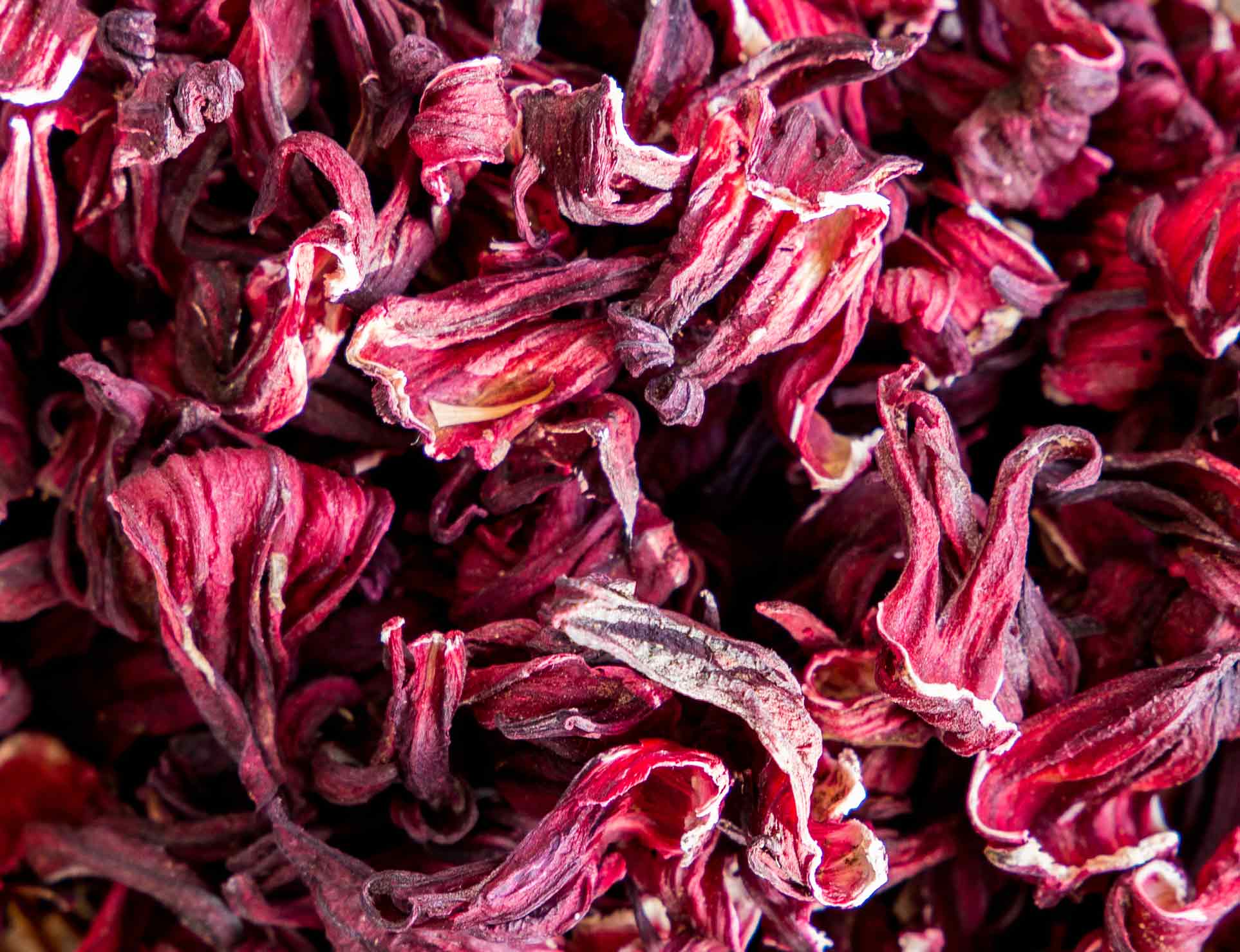 dried Hibiscus plant, Hibiscus tea - Hibiscus, roselle, karkade