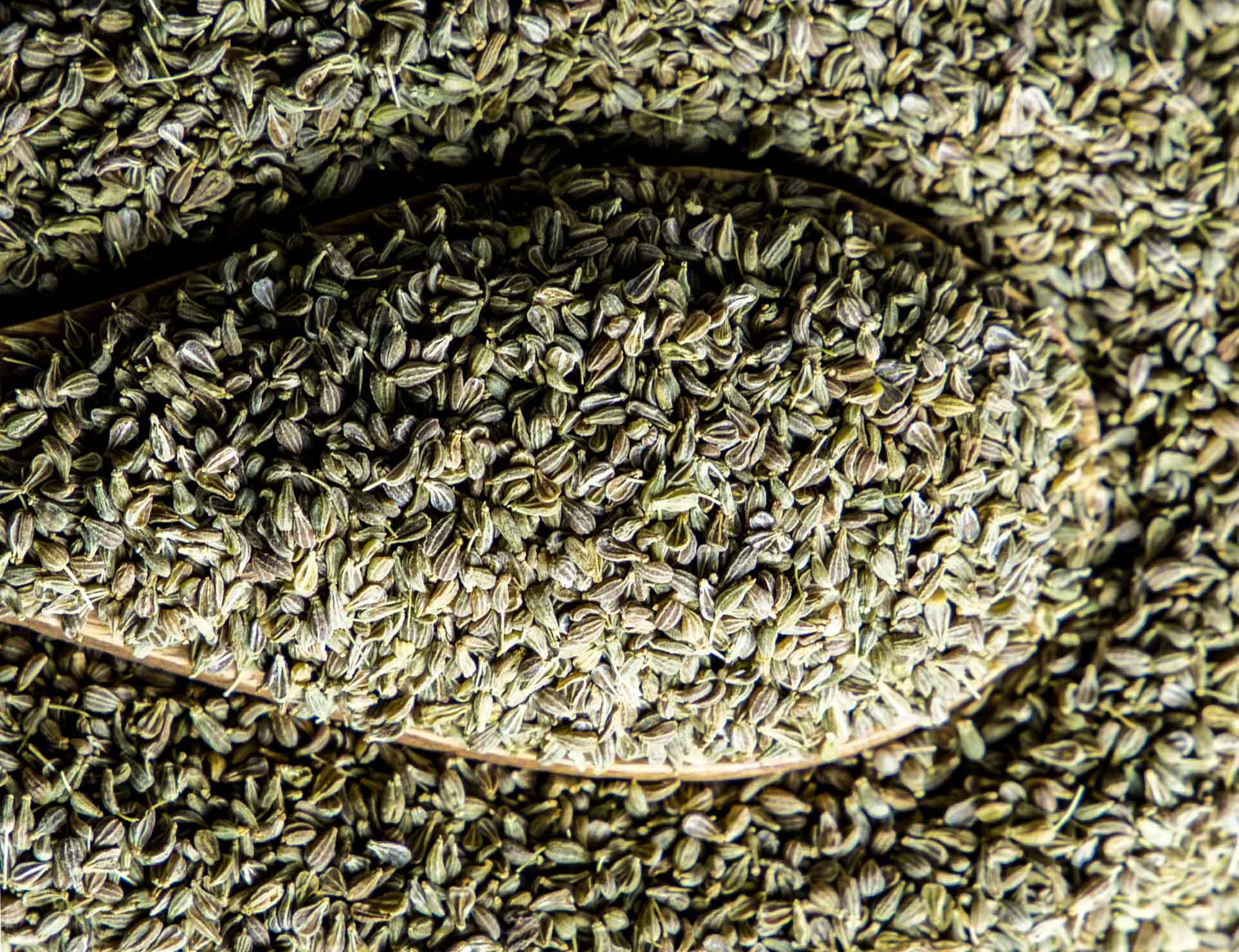 Anise-seed
