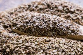 Dill seeds, Dried Dill, dill leaves - Anethum graveolens