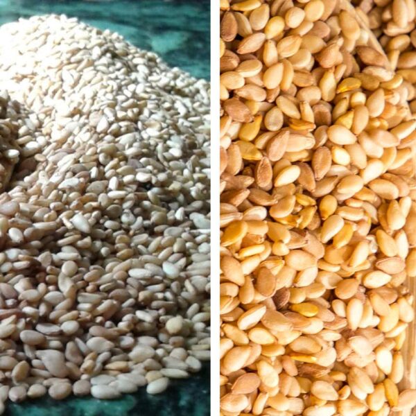 Bulk Egyptian Sesame seed