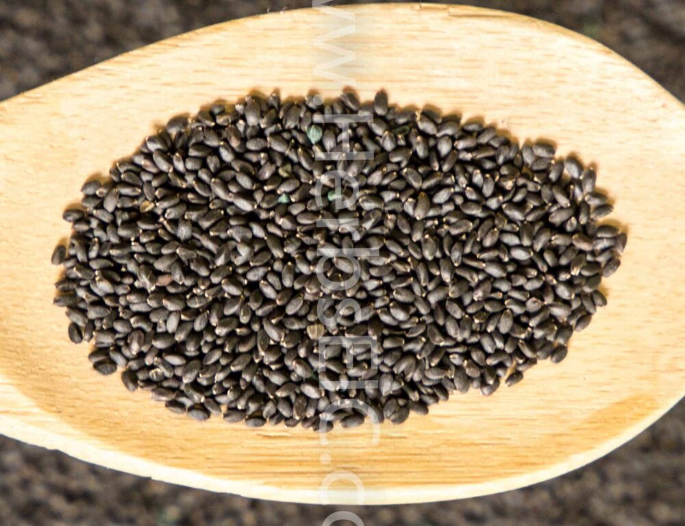 Basil seeds
