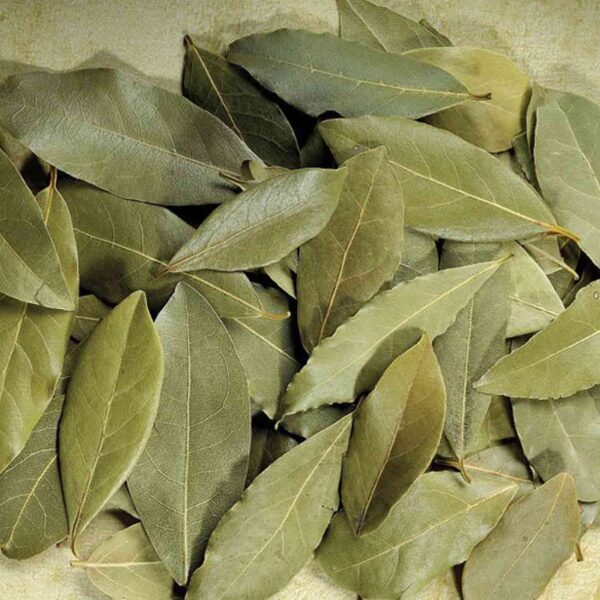 Bulk Egyptian Bay Leaves