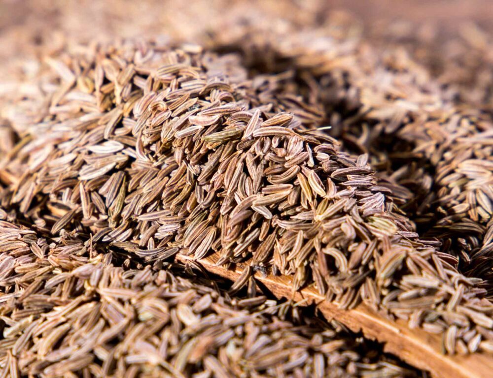 Bulk Egyptian Caraway Seeds