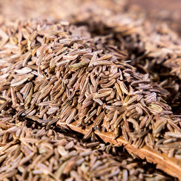 Bulk Egyptian Caraway Seeds