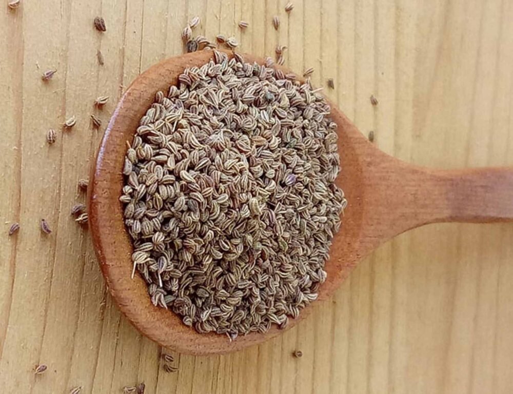 Bulk Egyptian Celery seeds