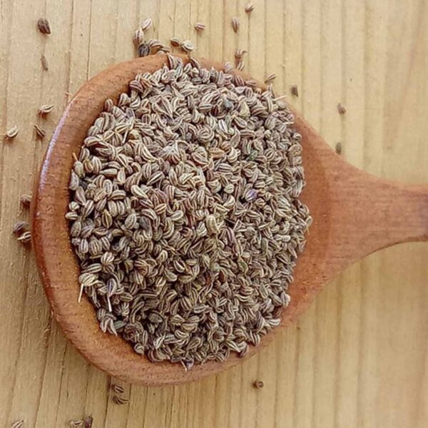 Bulk Egyptian Celery seeds