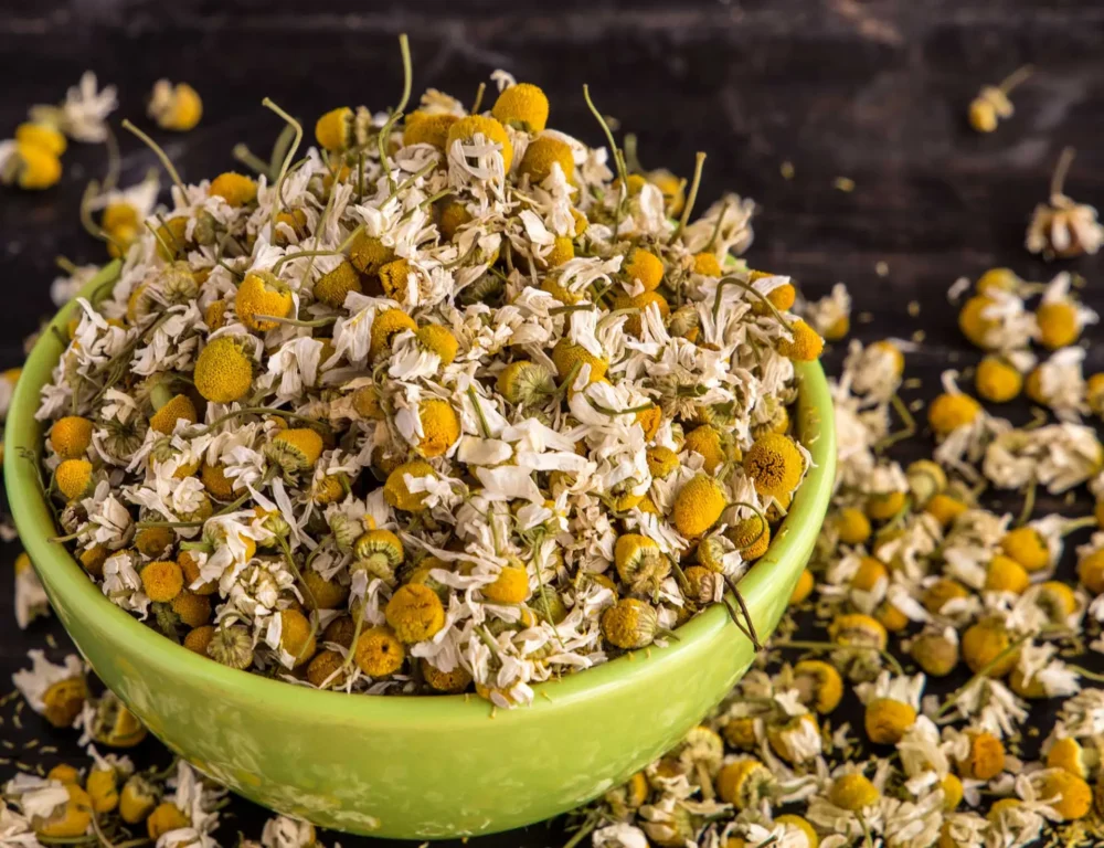 Bulk Egyptian Dried Chamomile flowers