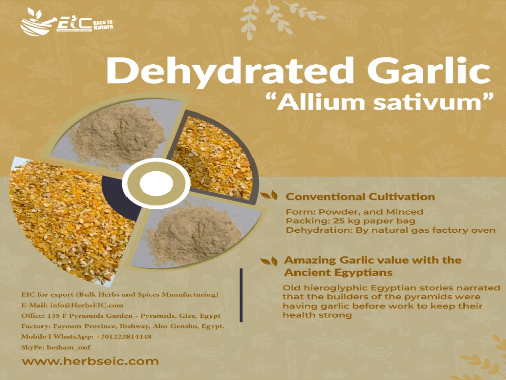 Bulk Egyptian Dehydrated Garlic
