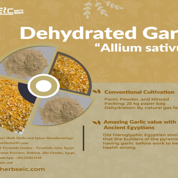 Bulk Egyptian Dehydrated Garlic