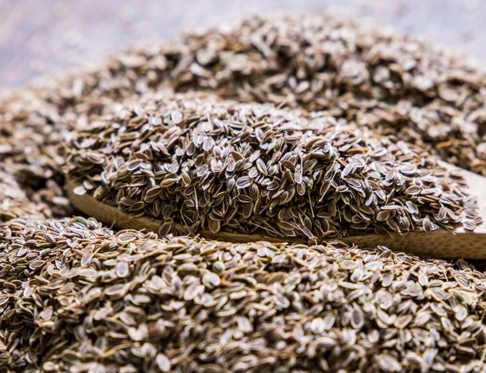 Bulk Egyptian Dill Seeds