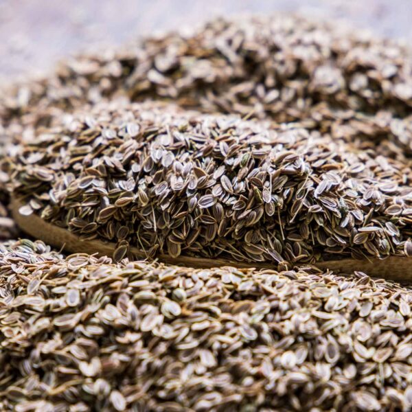Bulk Egyptian Dill Seeds