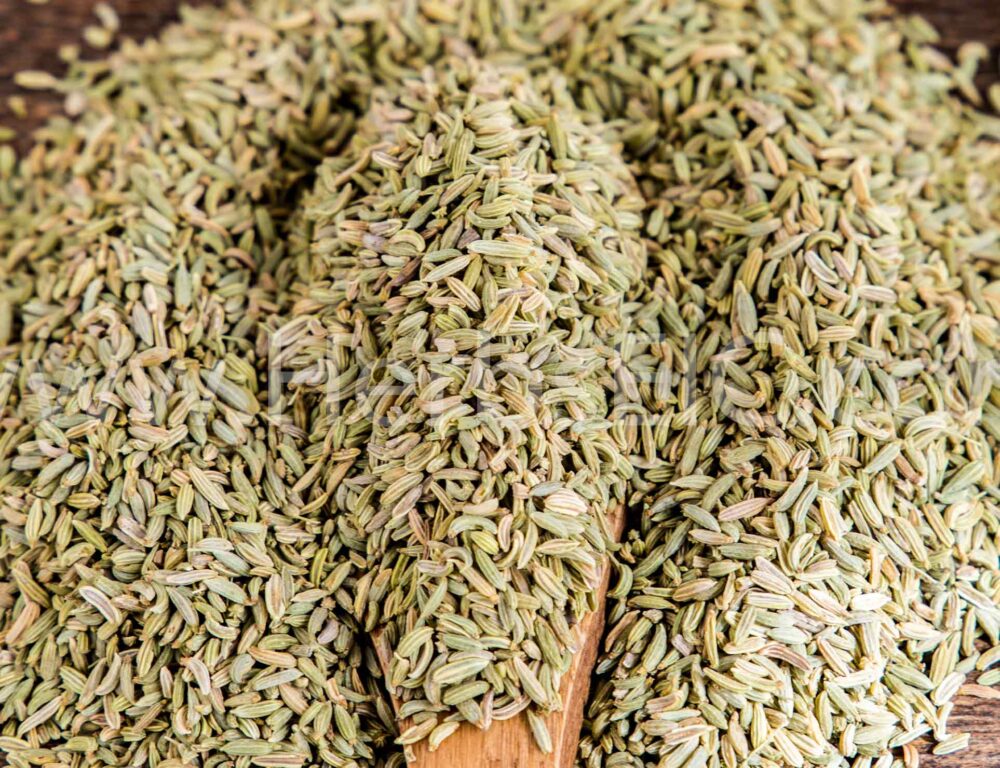 Bulk Egyptian Fennel Seeds