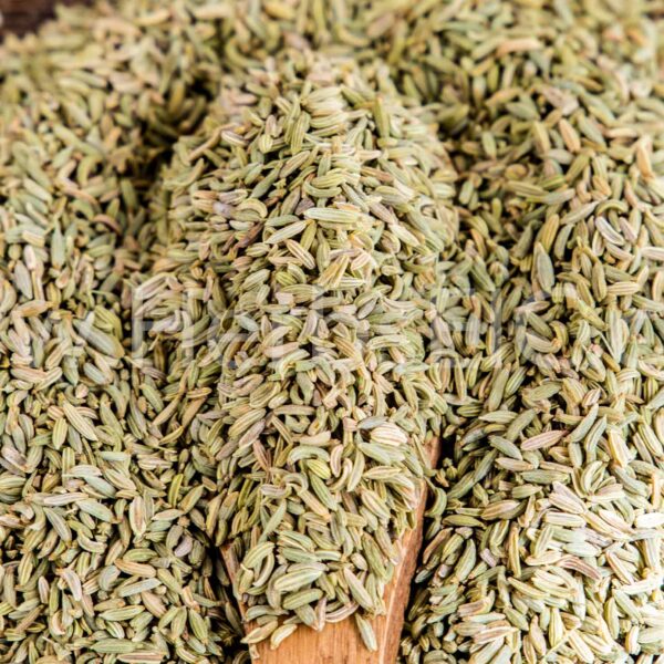 Bulk Egyptian Fennel Seeds