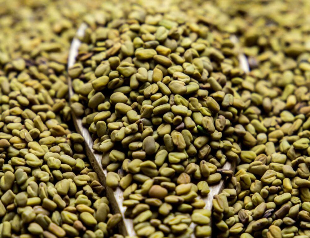Bulk Egyptian Fenugreek Seeds