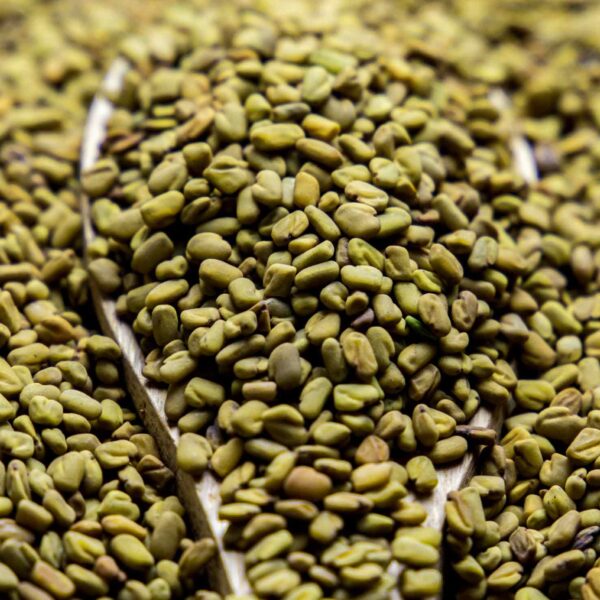 Bulk Egyptian Fenugreek Seeds