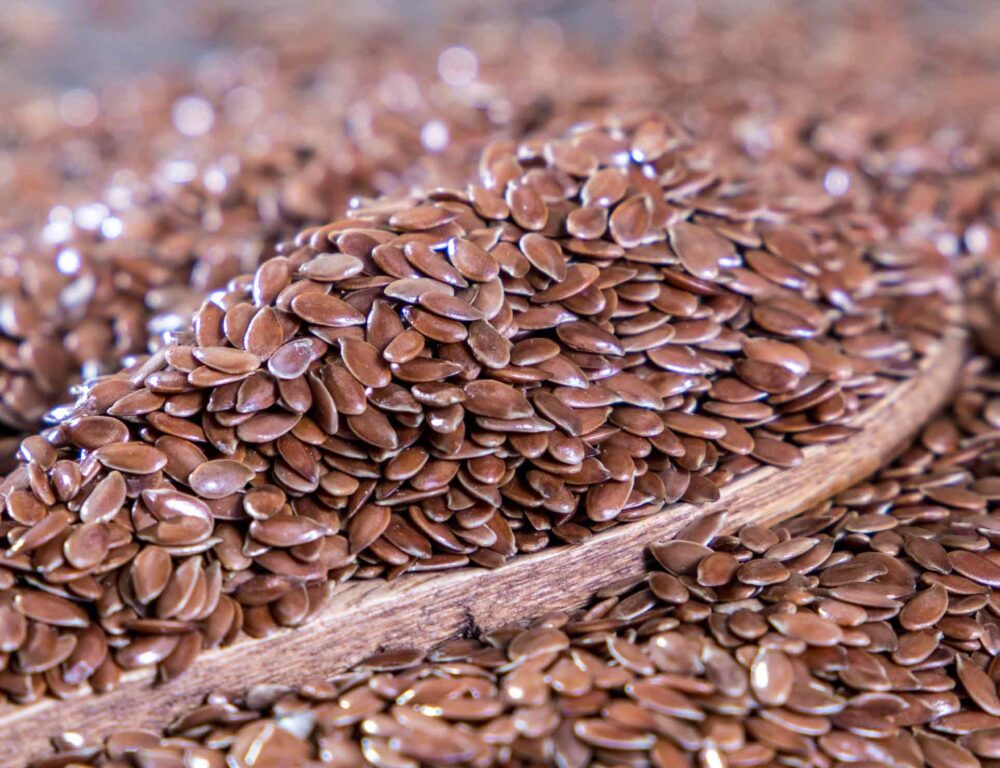 Bulk Egyptian Flax Seeds