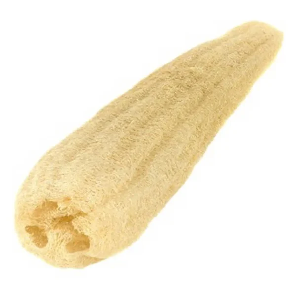 Bulk Egyptian Natural Loofah – Eco-Friendly Luffa Exporter in Bale