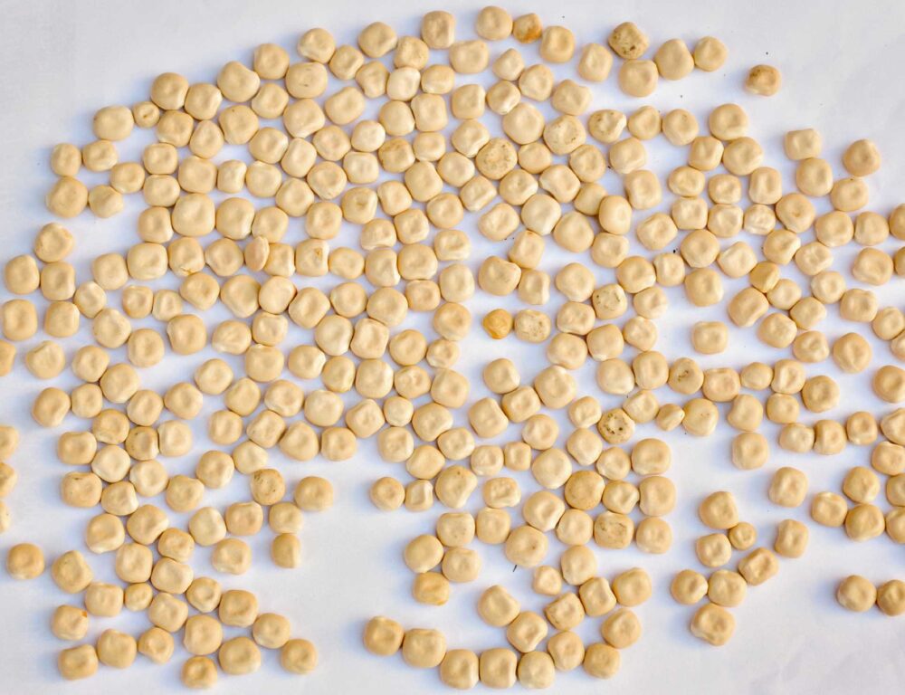Bulk Egyptian Lupini Beans