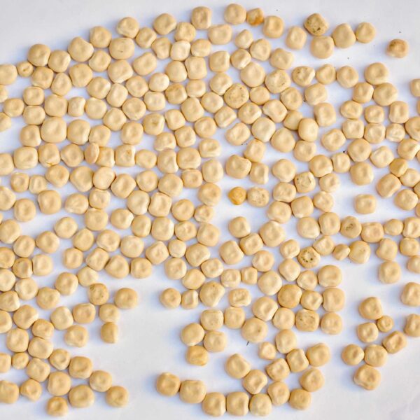 Bulk Egyptian Lupini Beans