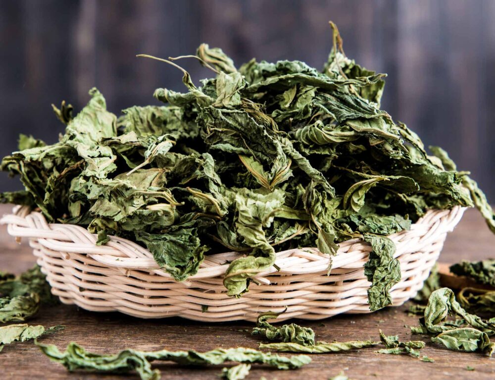 Bulk Egyptian Dried Molokhia