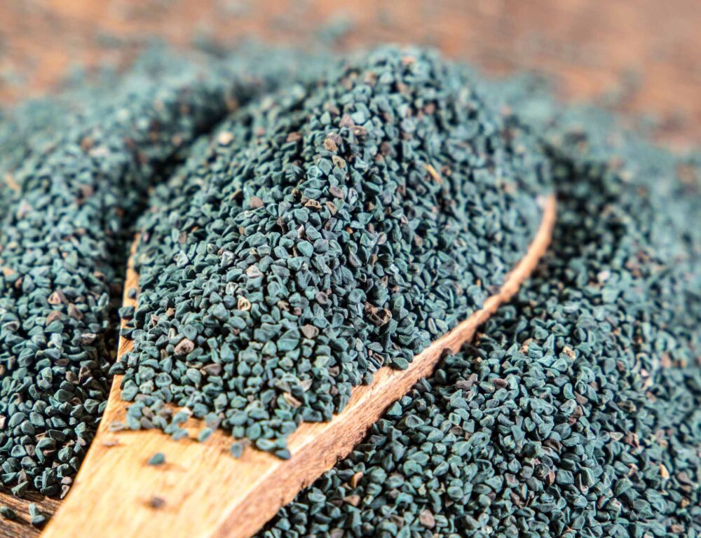 Bulk Egyptian Molokhia Seeds