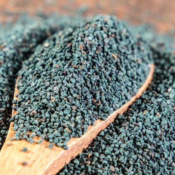 Bulk Egyptian Molokhia Seeds