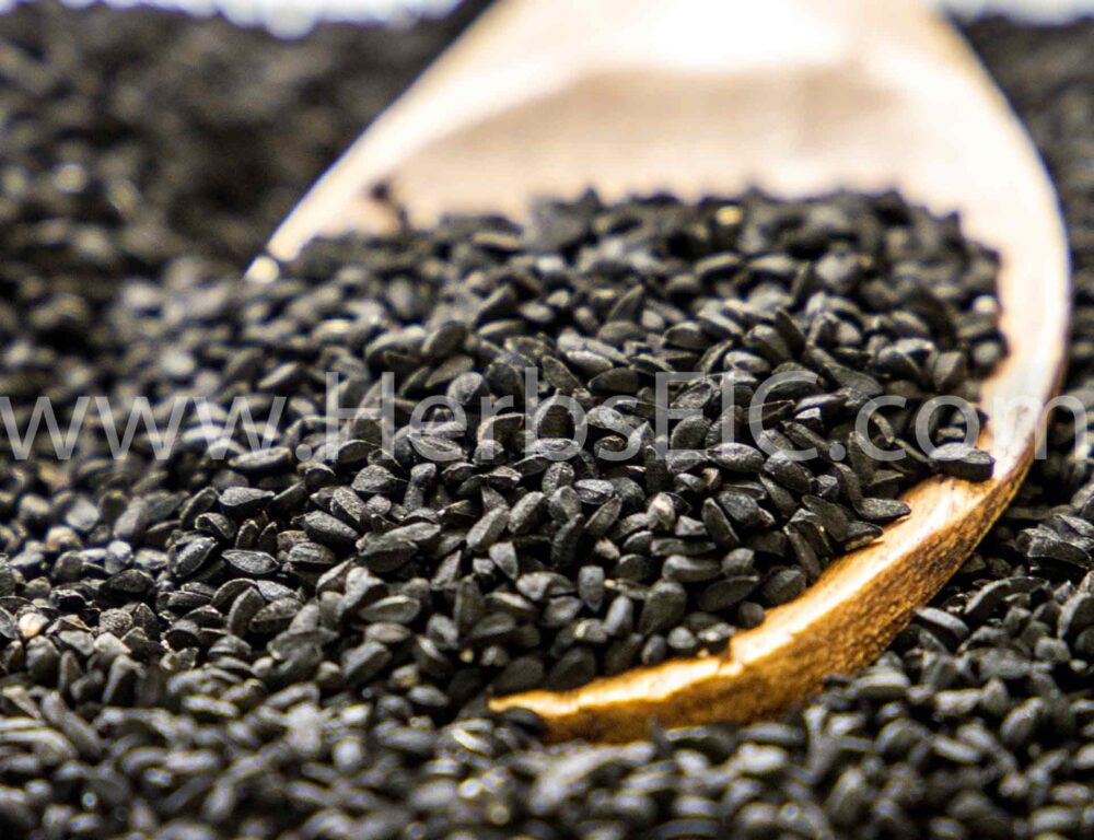 Bulk Egyptian Nigella Sativa