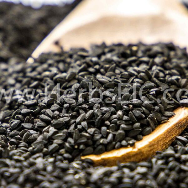 Bulk Egyptian Nigella Sativa