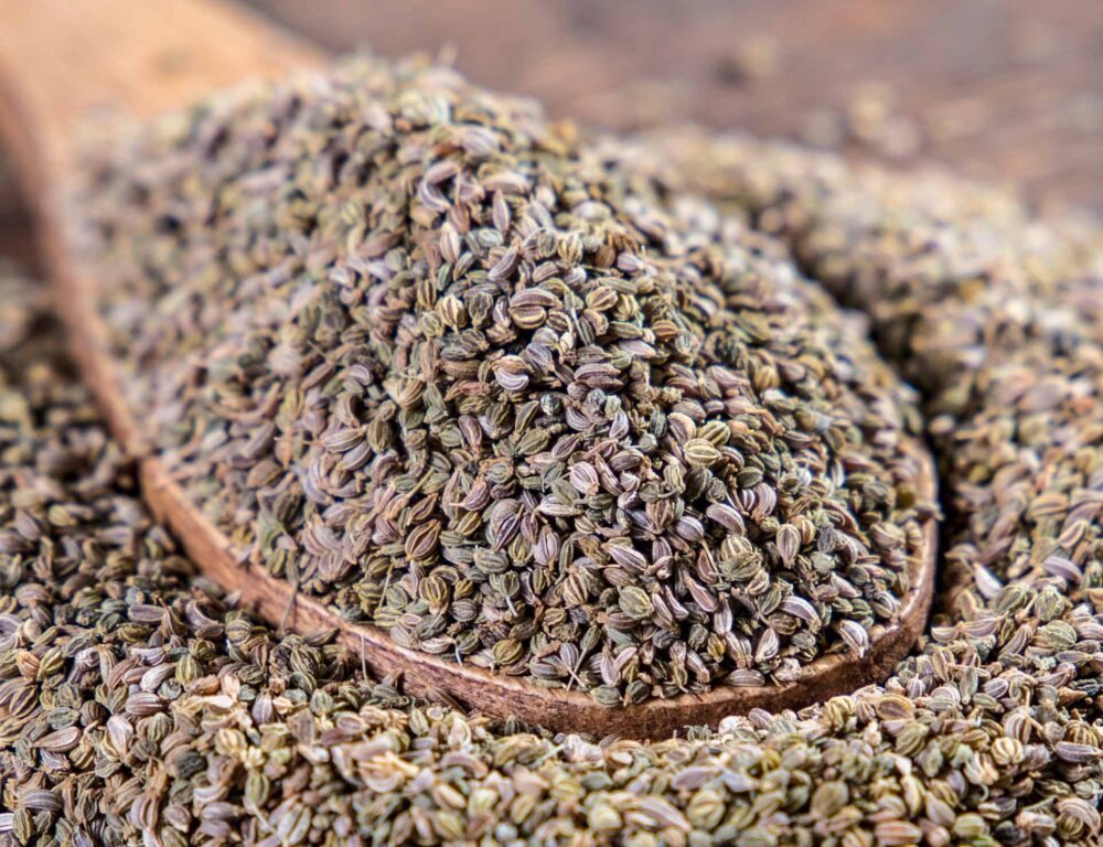 bulk Egyptian parsley seeds