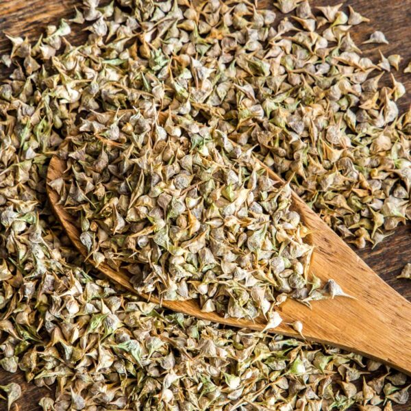 bulk Egyptian spinach seeds