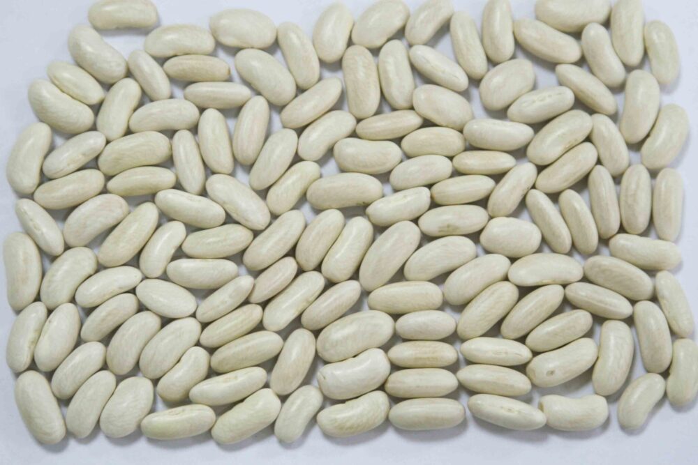 Bulk Egyptian White Beans