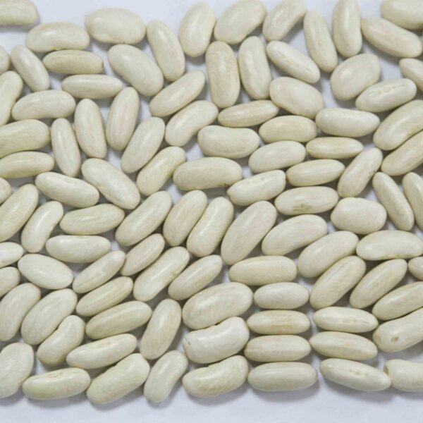 Bulk Egyptian White Beans