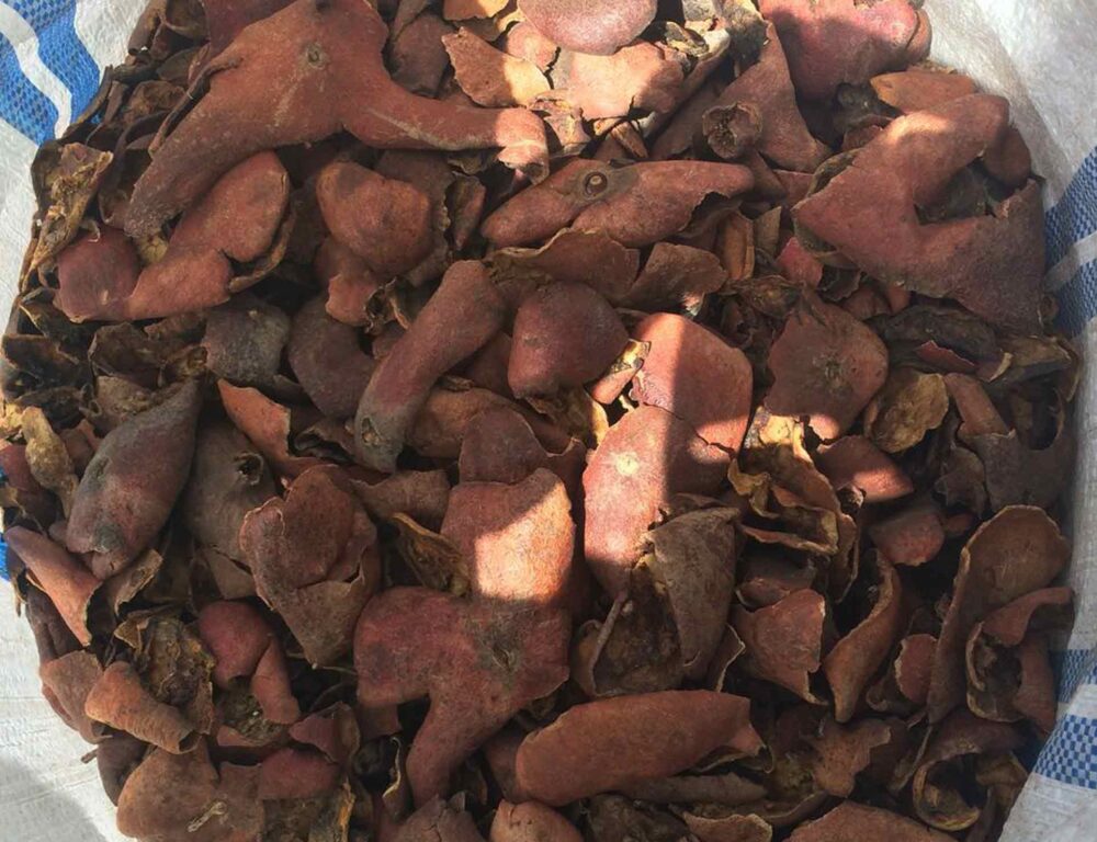 Bulk Egyptian Pomegranate Peel
