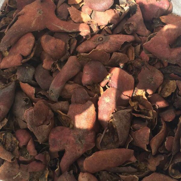Bulk Egyptian Pomegranate Peel