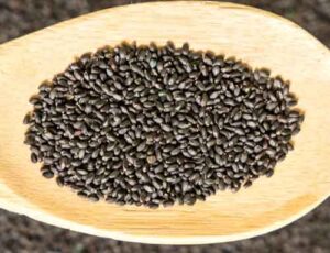 Bulk Herbs and Spices