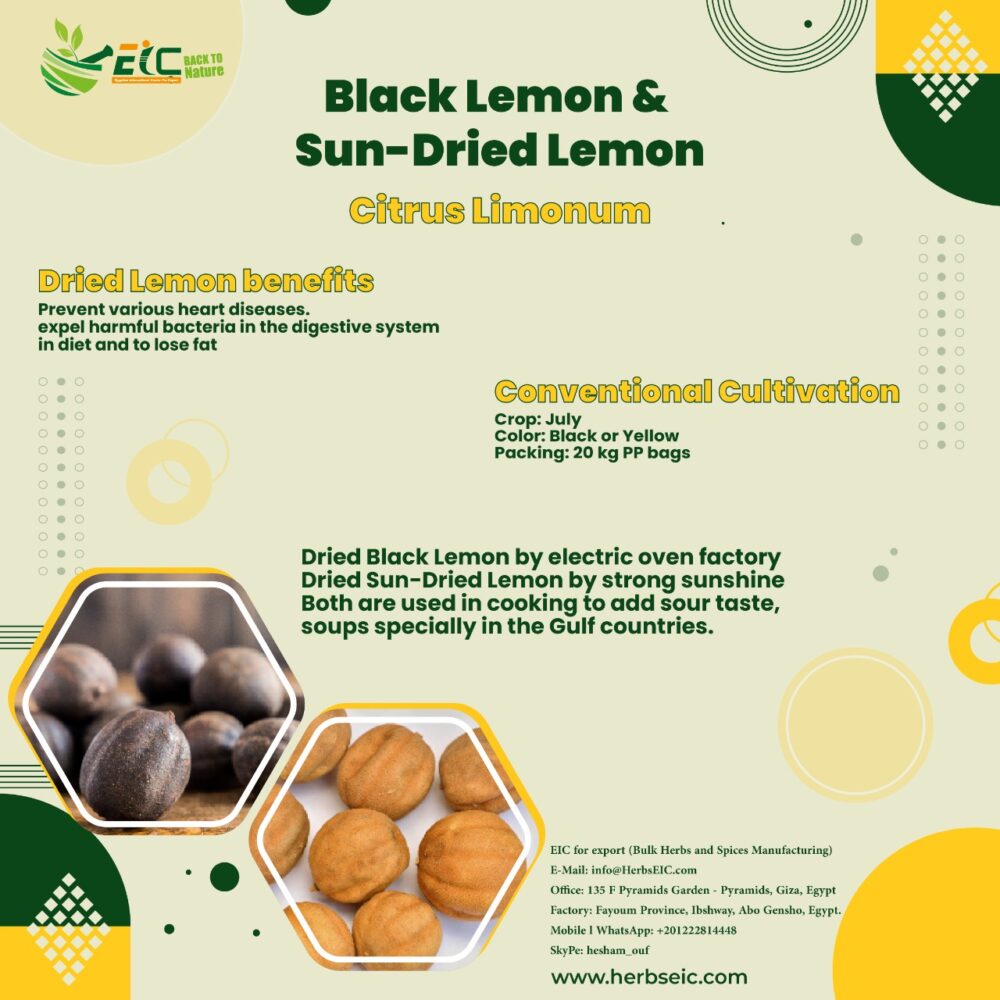 Bulk Egyptian Dried Lemon