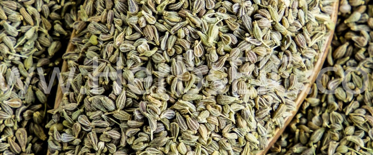 Anise Seed Bulk