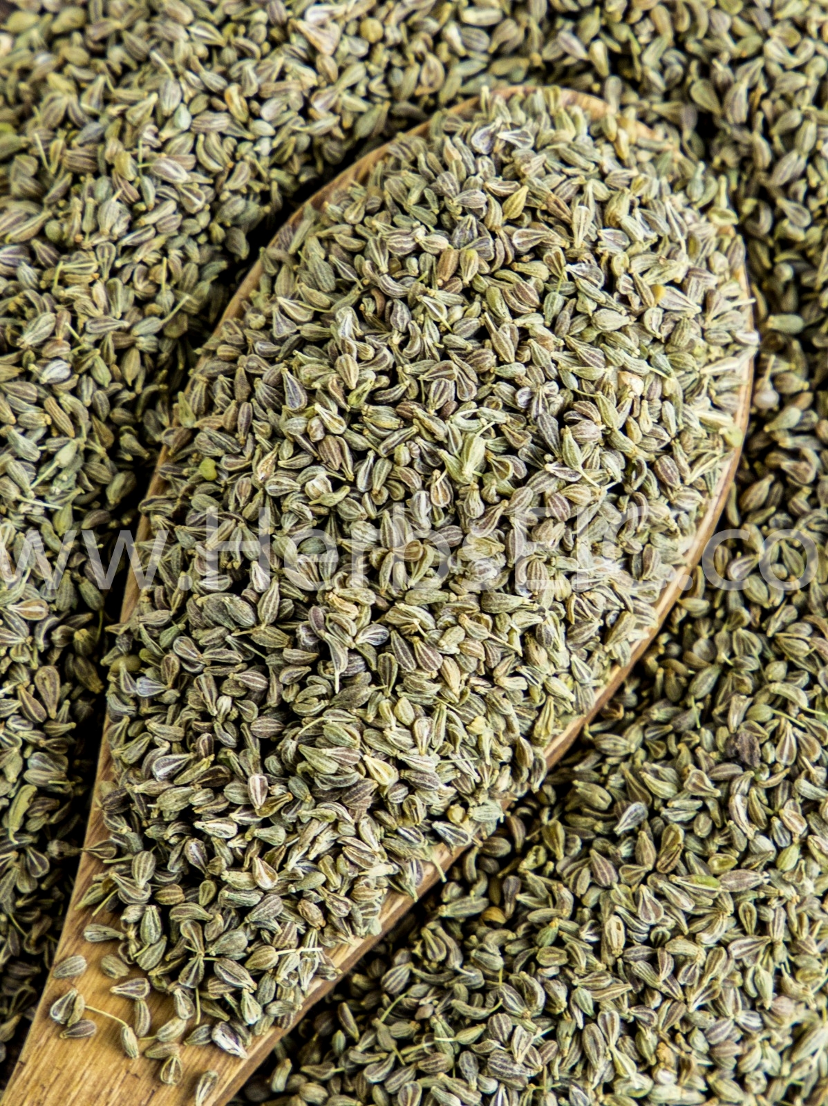 Anise Seed Bulk