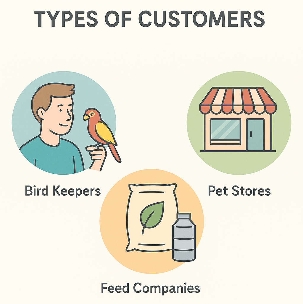 White Sunflower Seeds