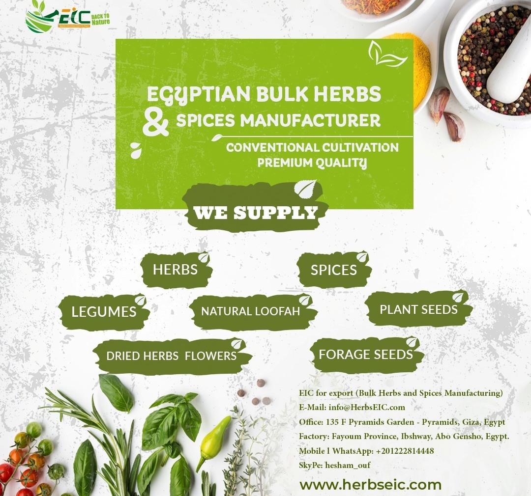 Bulk Herbs and Spices