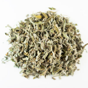 Proven Egyptian Sage in bulk Exporter for Salvia Officinalis Importers