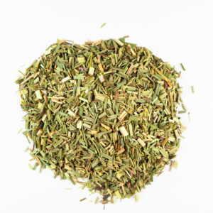 Egyptian Bulk Lemongrass Exporter – Cymbopogon citratus