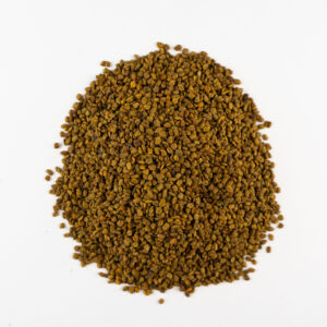 Bulk Fenugreek Seeds B2B Exporter – Egyptian Trigonella