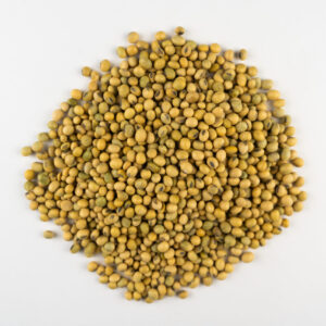 Egyptian Exporter of Bulk Soybeans Glycine Max for Animal Feed