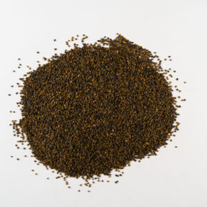Bulk Egyptian Arugula Seeds exporter – Eruca Sativa Seeds
