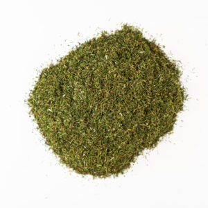 Bulk Dill Weed for Importers & Factories – Ready for Container Orders