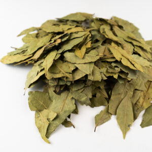 Bulk Bay Leaves, Bay leaves powder for B2B Importers – Get Price Now!