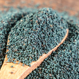 Bulk Egyptian Molokhia Seeds – Trusted Supplier from Egypt